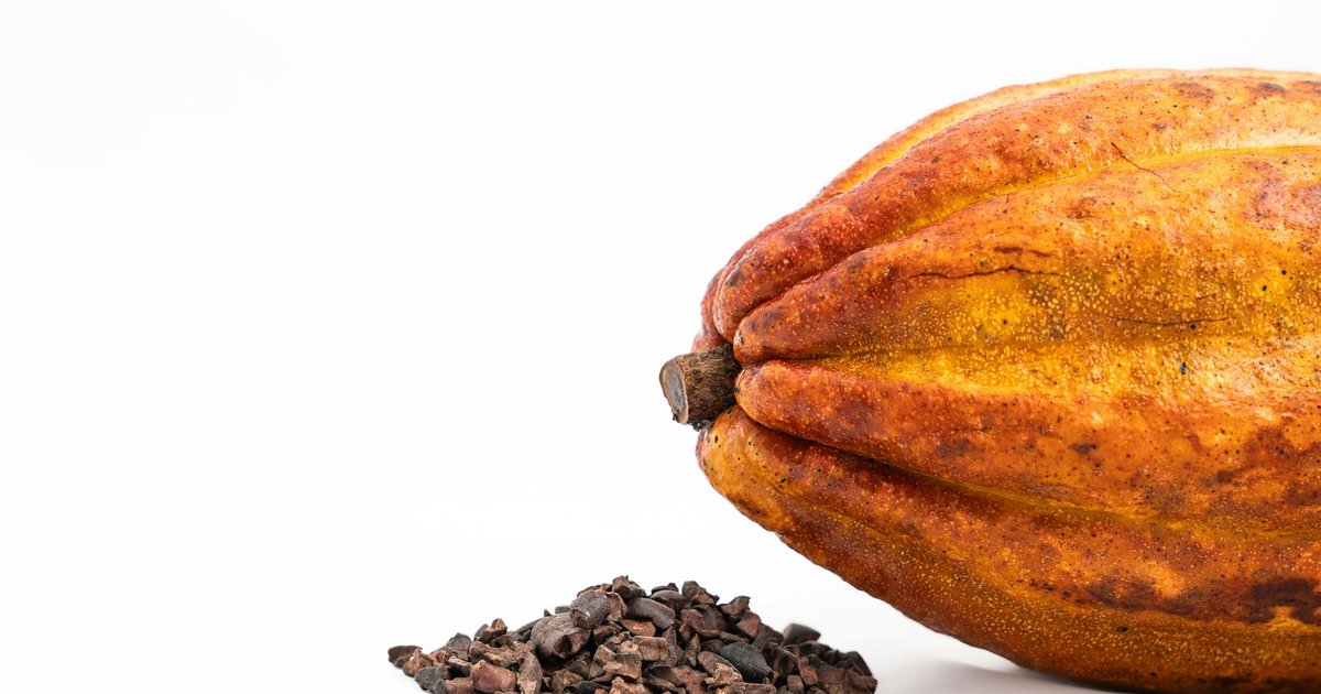 カカオシェルの成分と働き【4月】