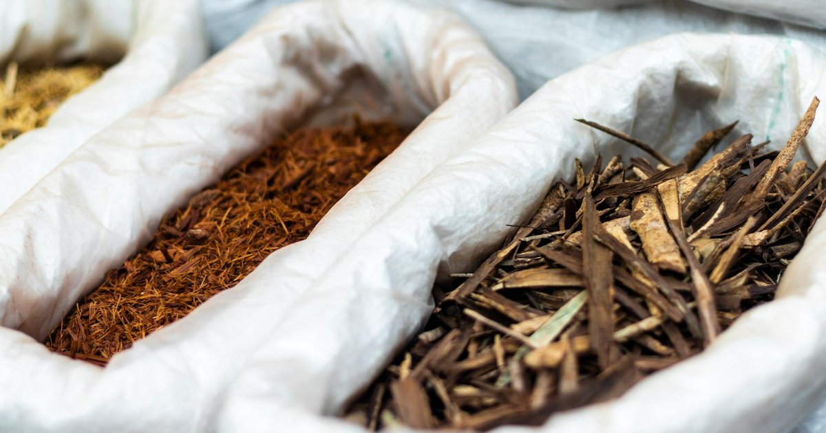 甘草のグリチルリチンが春の自律神経の乱れに働きかける理由｜気温差と副腎機能の科学