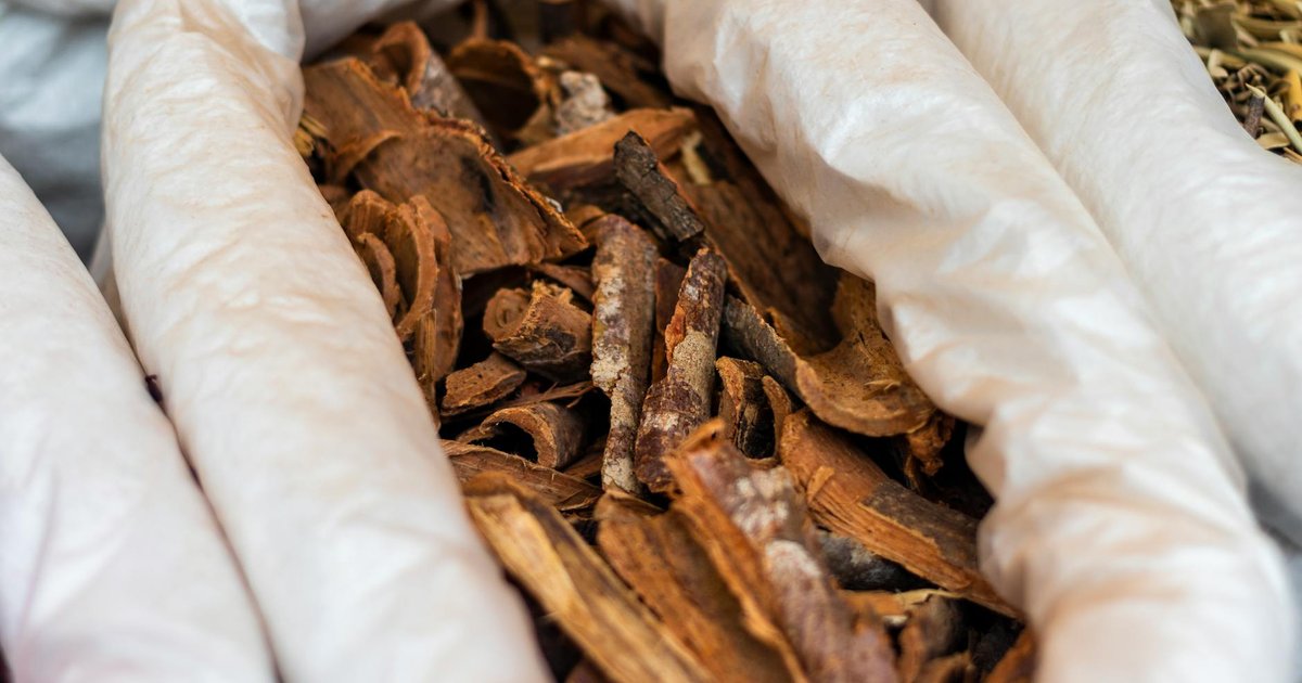 甘草が『国民的ハーブ』と呼ばれる理由｜古代メソポタミアから現代まで、5000年間愛され続けた理由