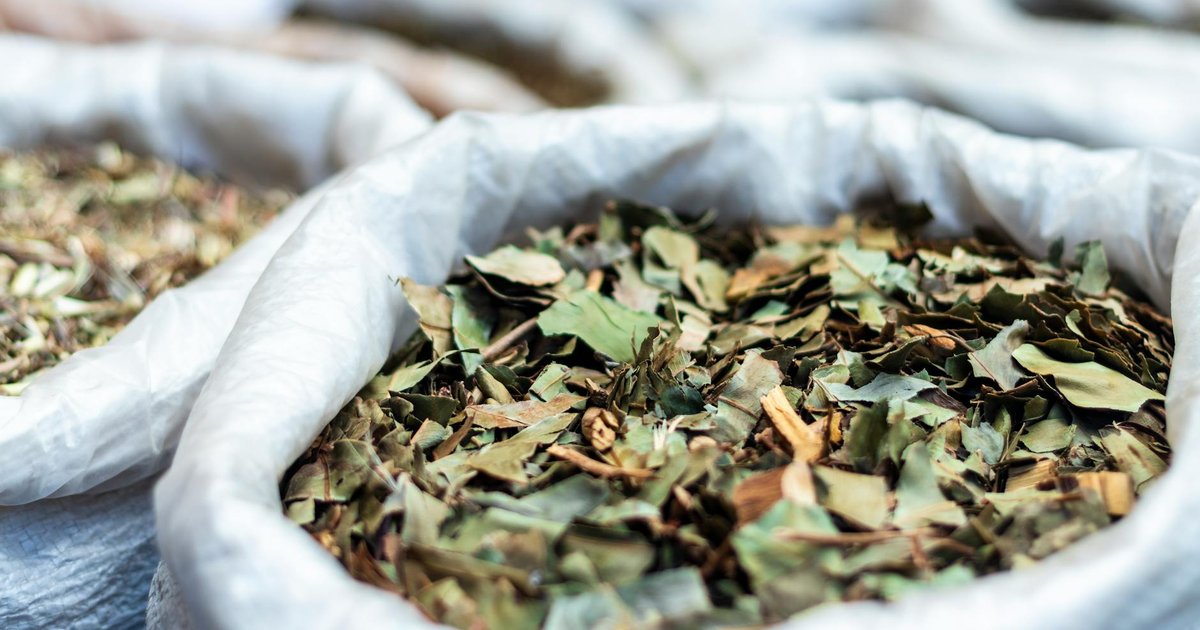 フェヌグリークの名前の由来と意外な歴史