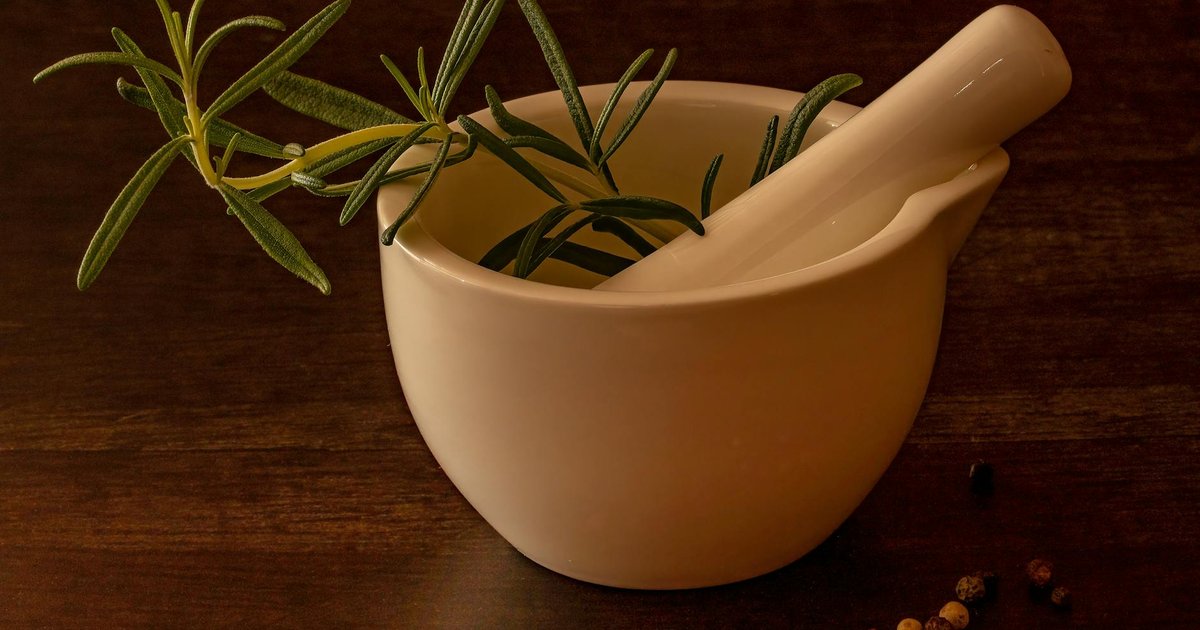 ローズマリーのシネオールとカンファーが春の集中力低下に働きかける仕組み｜新生活の脳疲労と香りの神経科学