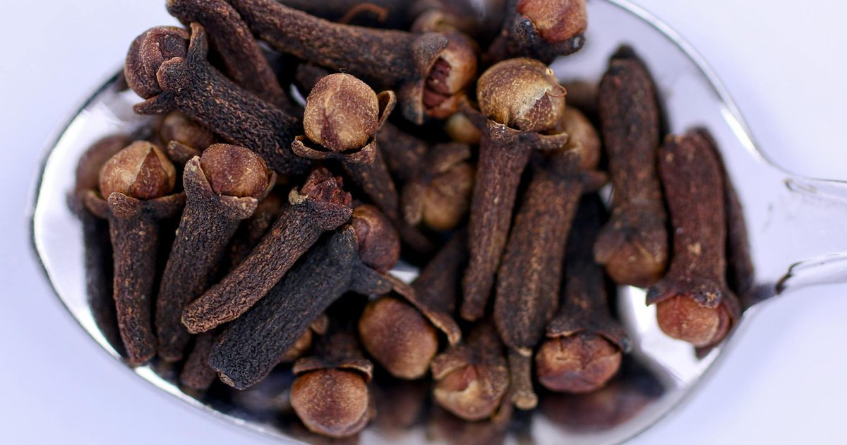 クローブ精油のオイゲノールが春の頭痛に働く仕組み｜気温差での神経過敏と香り成分の研究